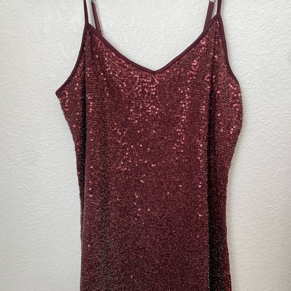 Express Burgundy Sequin top